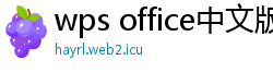 wps office中文版